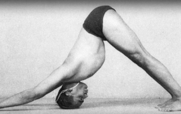 Ayurbea – non solo yoga blog