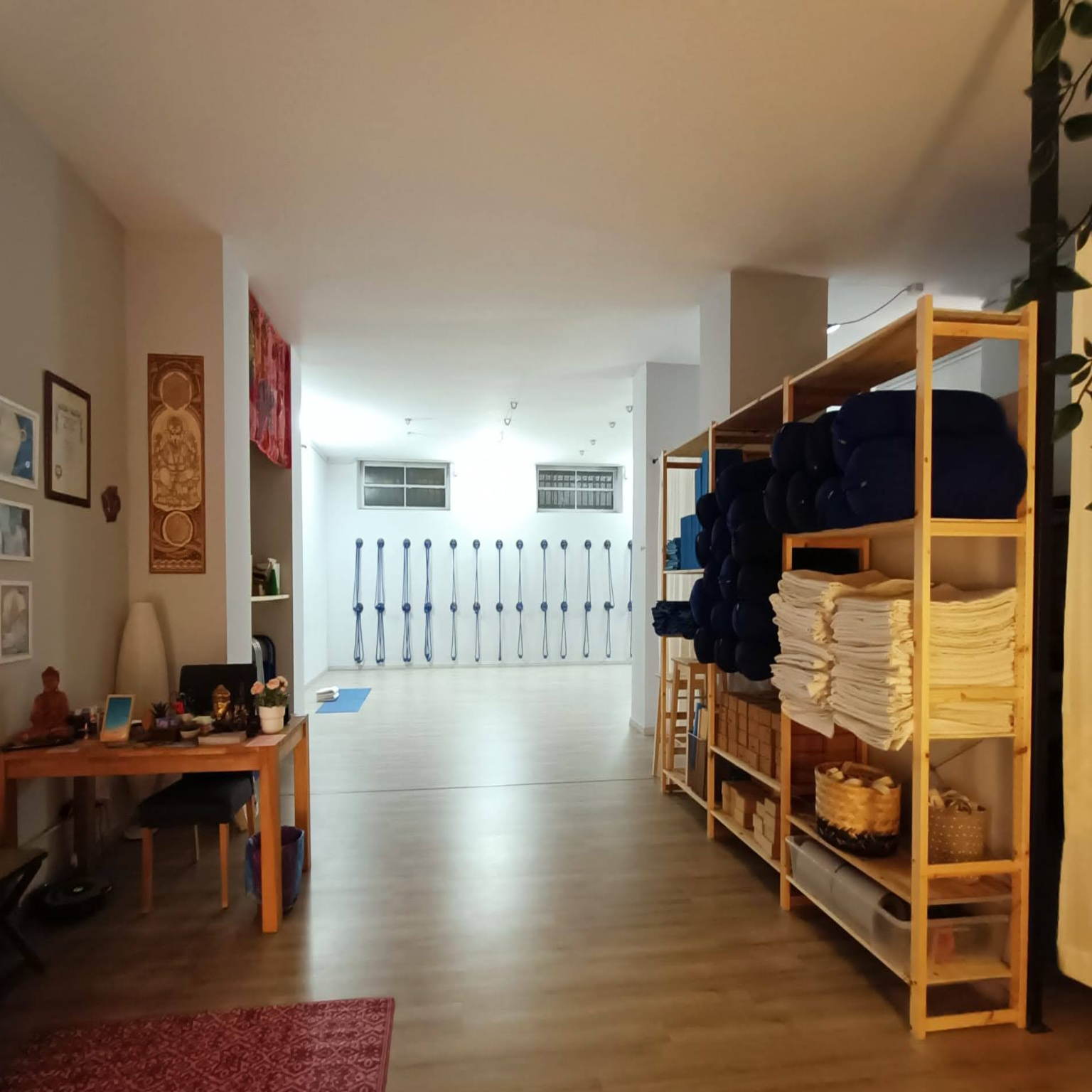 Vista della sala corsi luminosa con scaffali di supporti come coperte, cuscini bolster e parete con corde di Kalishiva Yoga Torino